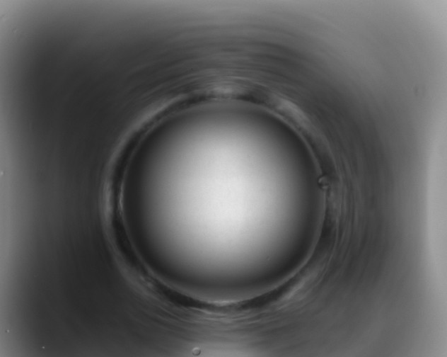 X0000088910726200706151905