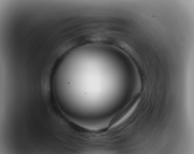 X0000088910727200706151905