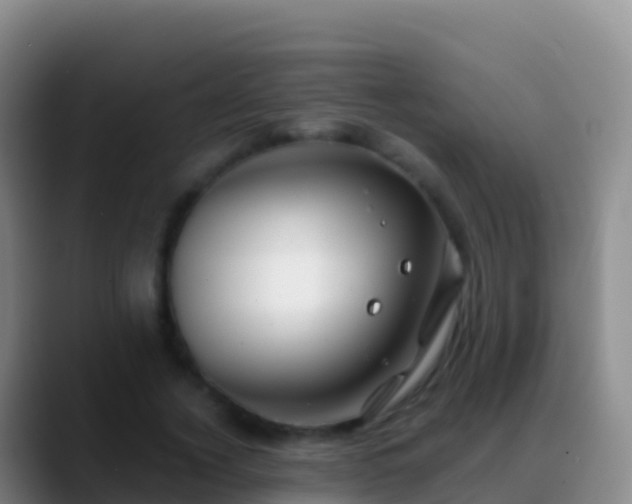 X0000088910732200706151906