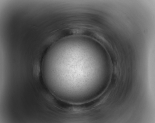 X0000088910733200706151906
