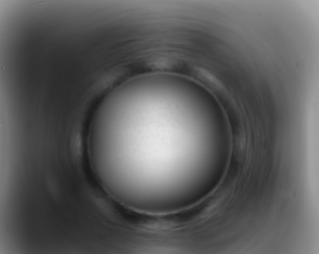 X0000088910734200706151906