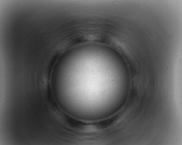 X0000088910741200706151906
