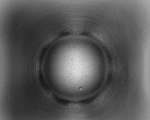X0000088910742200706151906