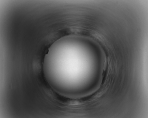 X0000088910751200706151906