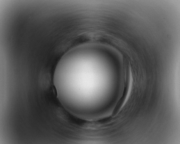 X0000088910752200706151906