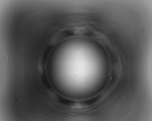 X0000088910755200706151906