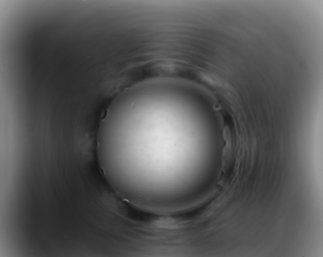 X0000088910759200706151906