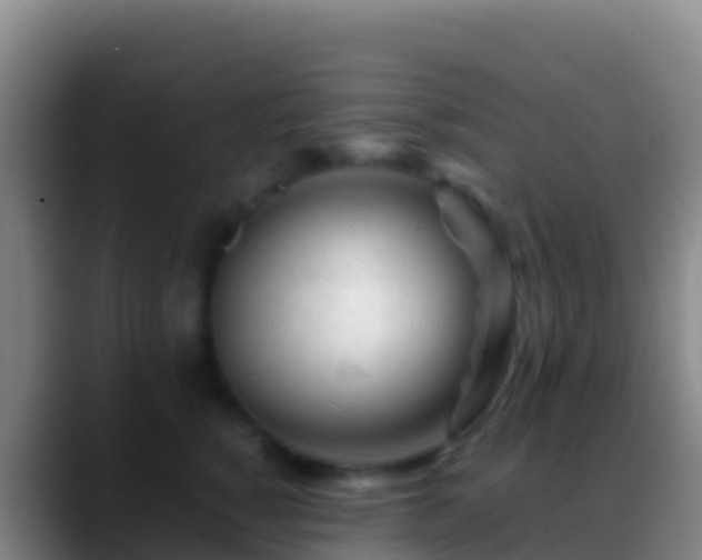 X0000088910760200706151906