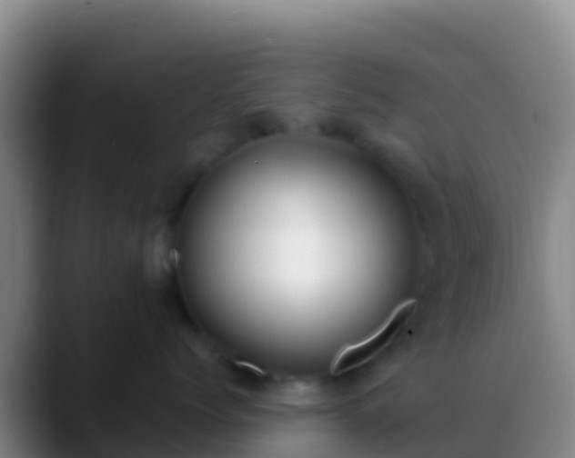 X0000088910768200706151906