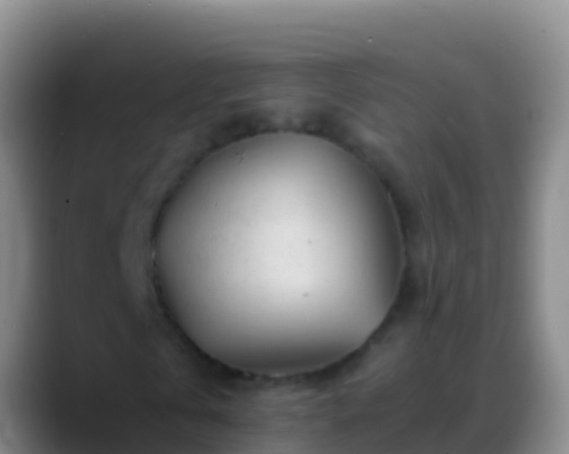 X0000088910769200706151905