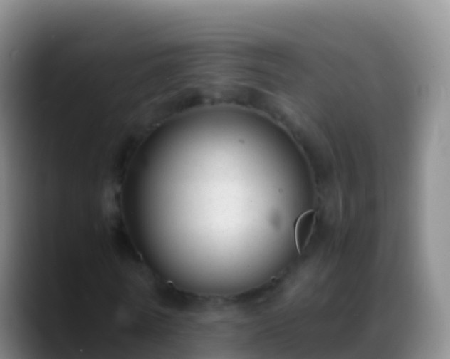 X0000088910770200706151905