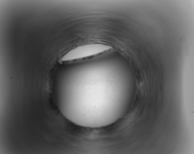 X0000088910772200706151905