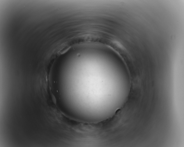 X0000088910774200706151905
