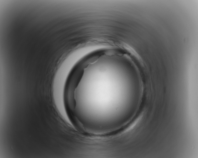 X0000088910777200706151905