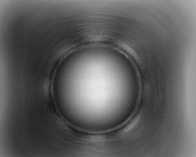 X0000088910778200706151905