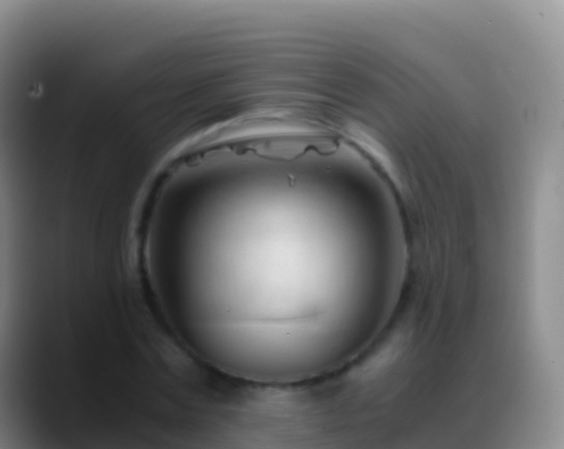 X0000088910779200706151905