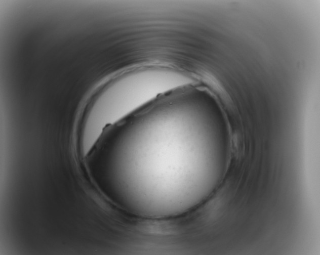 X0000088910780200706151905