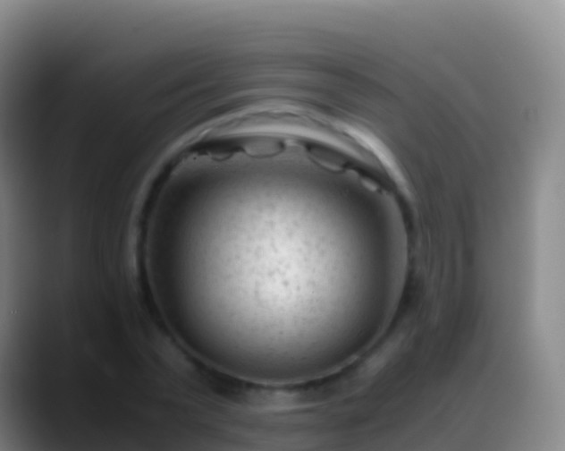 X0000088910783200706151905