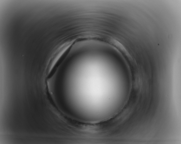X0000088910786200706151905