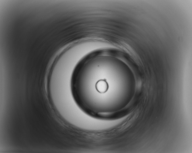 X0000088910788200706151905