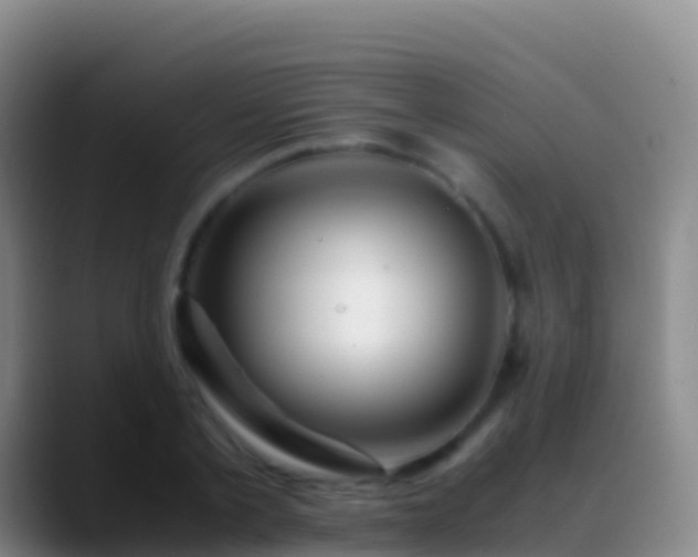 X0000088910789200706151905