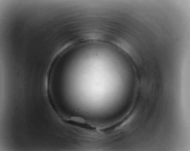X0000088910790200706151905