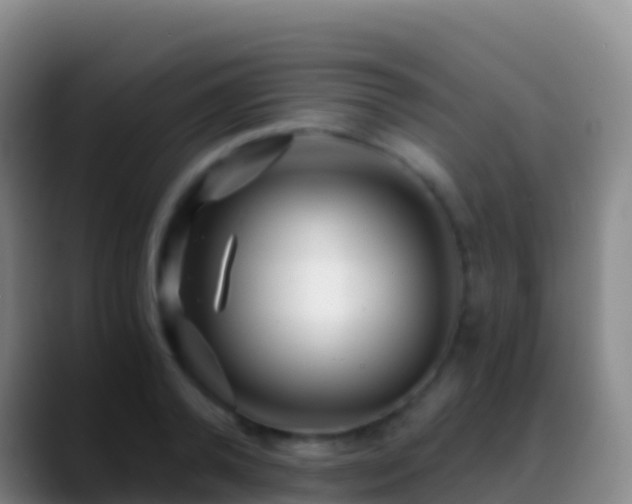 X0000088910792200706151905