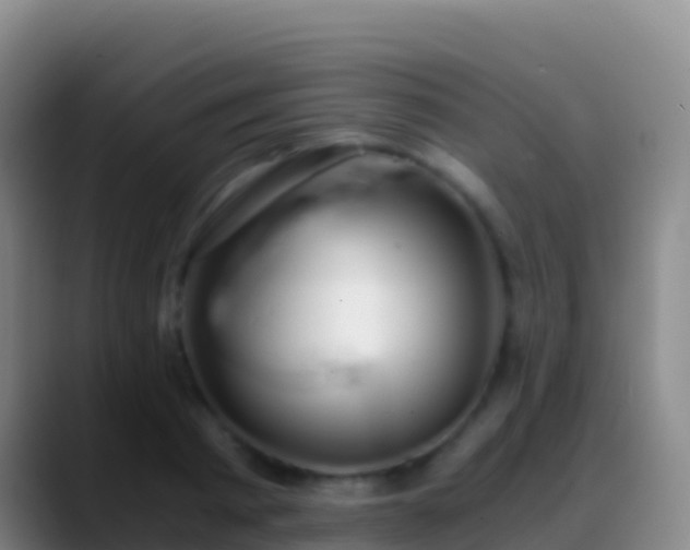 X0000088910793200706151905