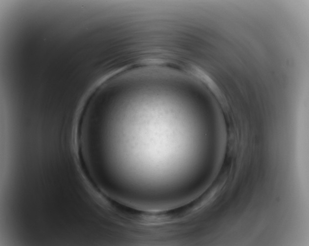 X0000088910795200706151905