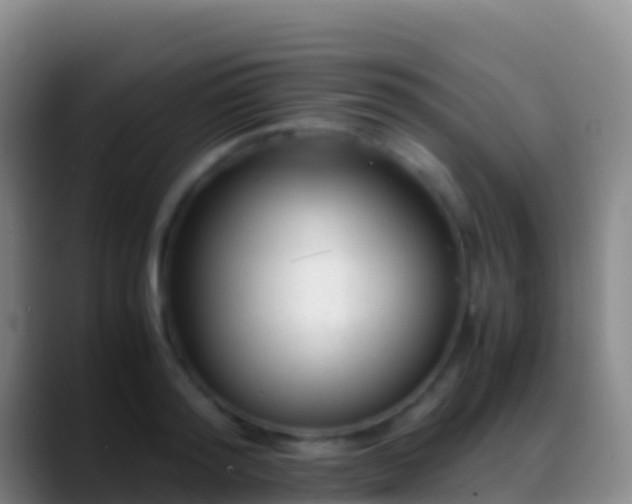 X0000088910796200706151905