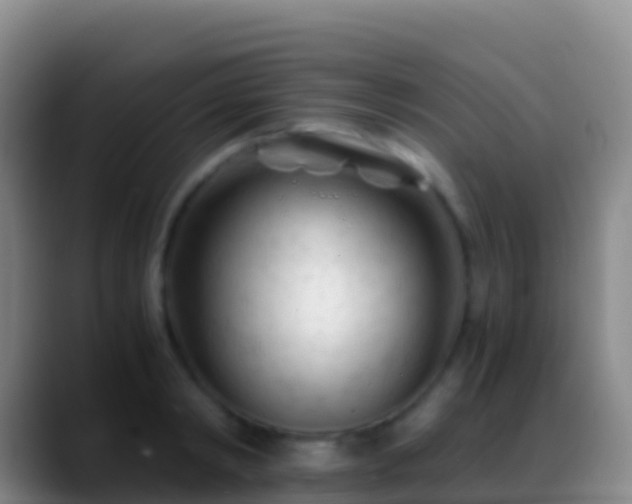 X0000088910798200706151905