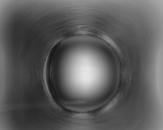 X0000088910801200706151905