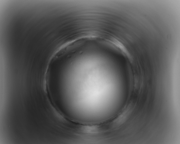 X0000088910802200706151905