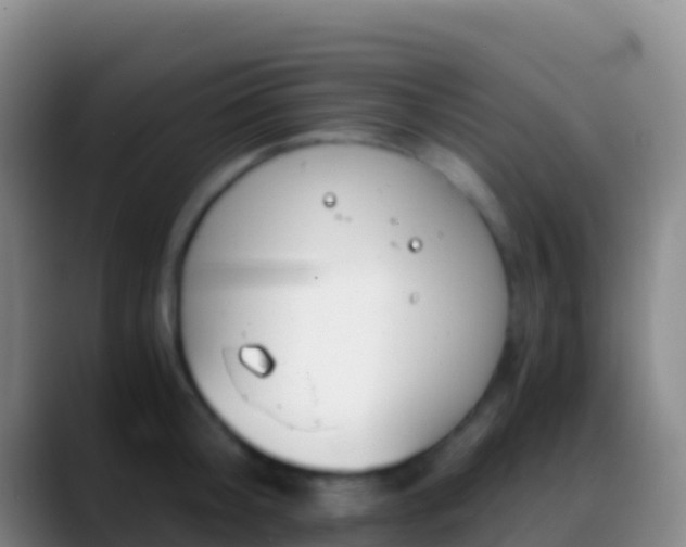 X0000088910804200706151905