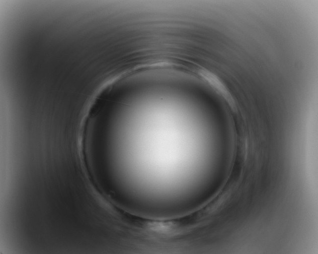 X0000088910805200706151905