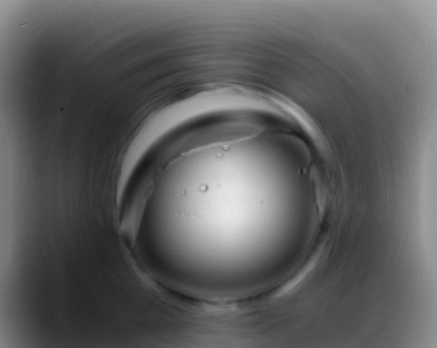 X0000088910809200706151905
