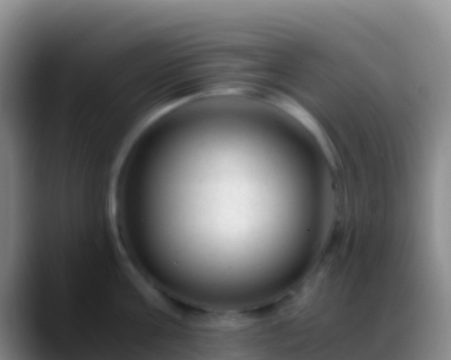 X0000088910811200706151905