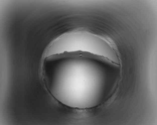 X0000088910816200706151905