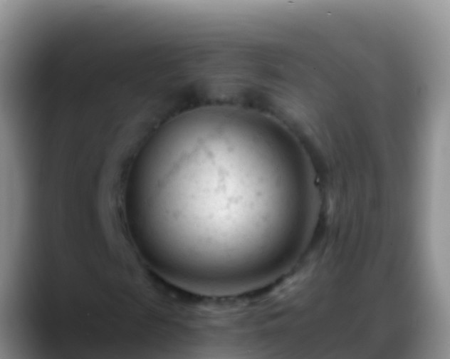 X0000088910817200706151904