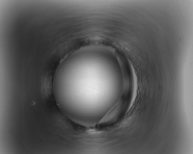 X0000088910818200706151904