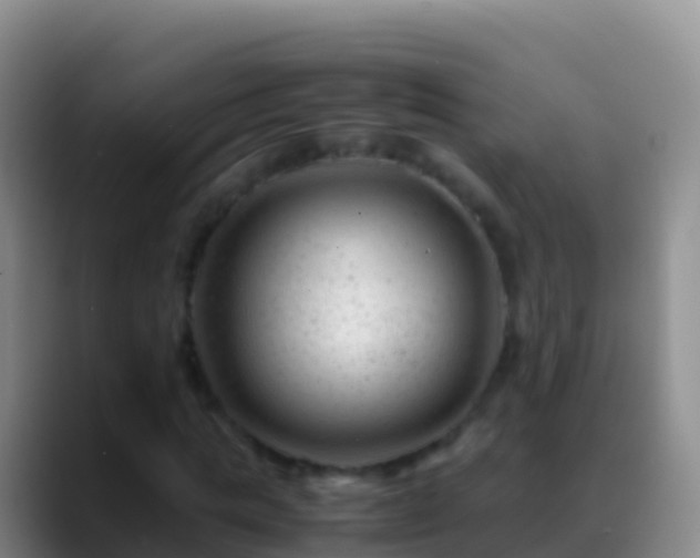 X0000088910821200706151904