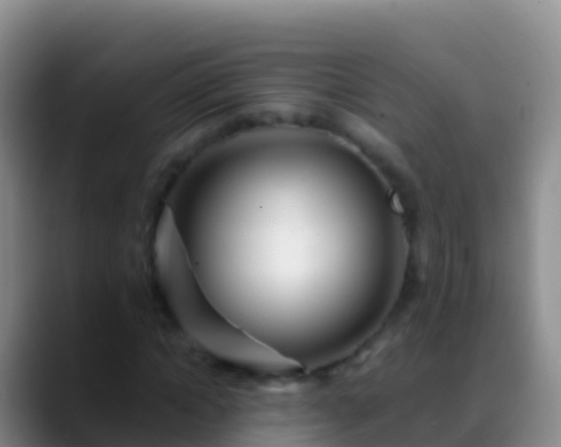 X0000088910822200706151904