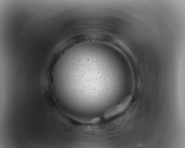 X0000088910823200706151904