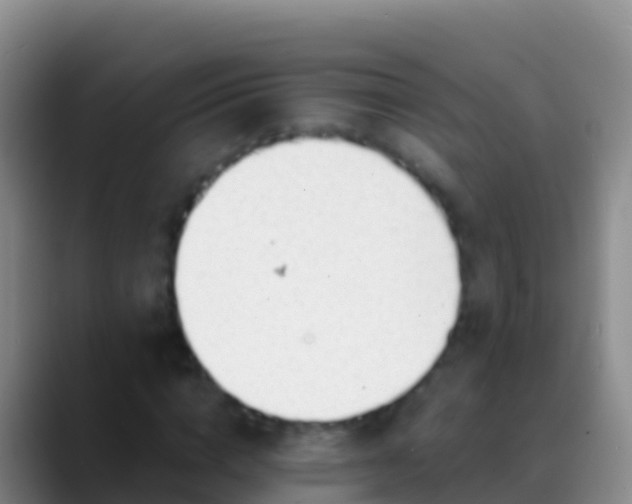X0000088910824200706151904