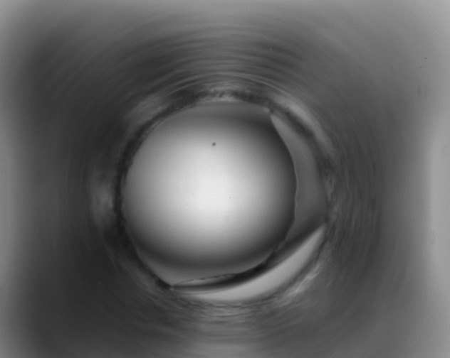 X0000088910826200706151904