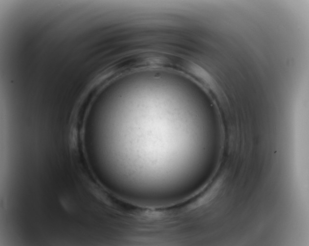 X0000088910827200706151904