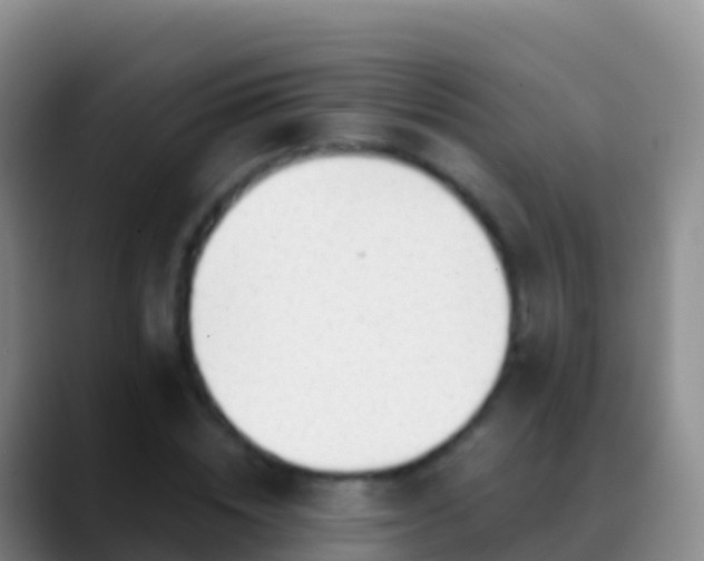 X0000088910828200706151904