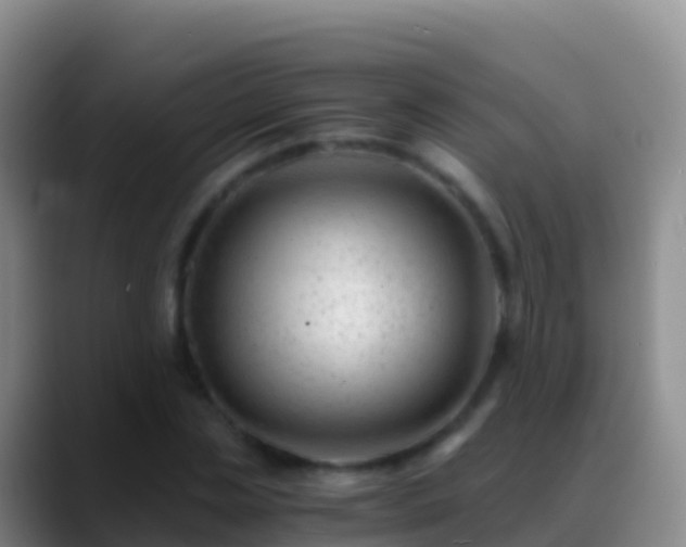 X0000088910829200706151904