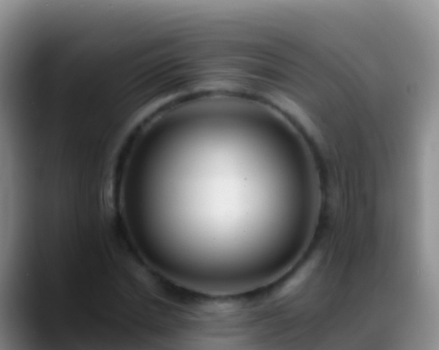 X0000088910830200706151904