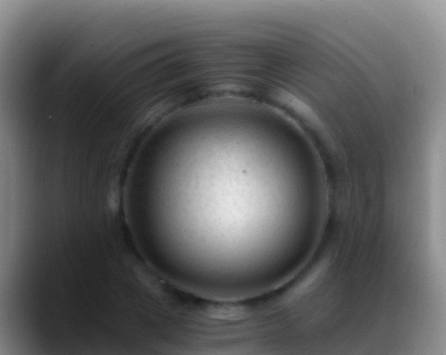 X0000088910833200706151904